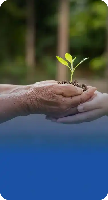 Social Impact
